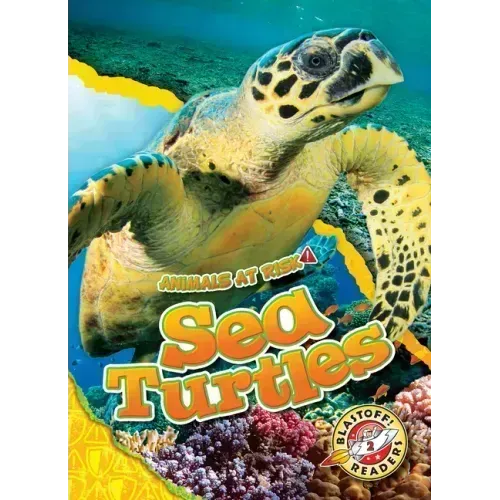 Sea Turtles
