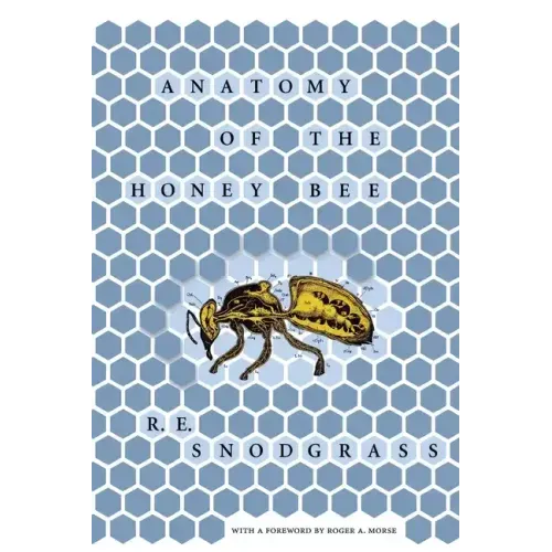Anatomy of the Honey Bee