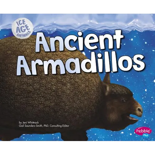 Ancient Armadillos