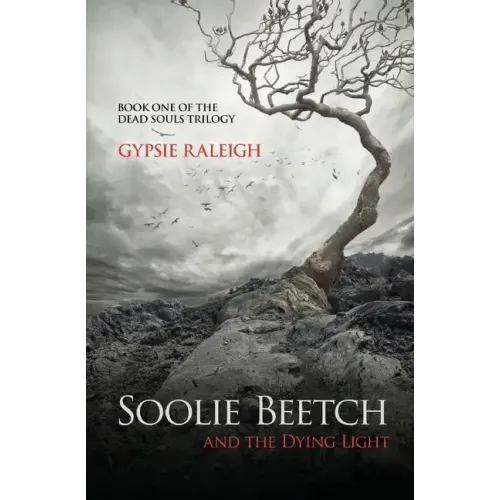 Soolie Beetch and the Dying Light
