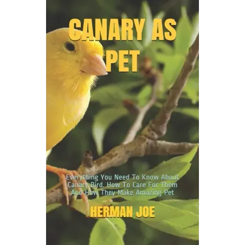 Canary as Pet: Everything You Need To Know About Canary Bird. How To Care For Them And How They Make Amazing Pet