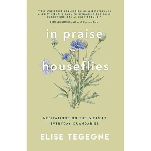 In Praise of Houseflies: Meditations on the Gifts in Everyday Quandaries