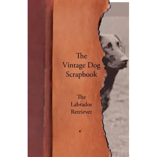 The Vintage Dog Scrapbook - The Labrador Retriever