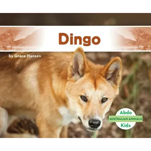 Dingo