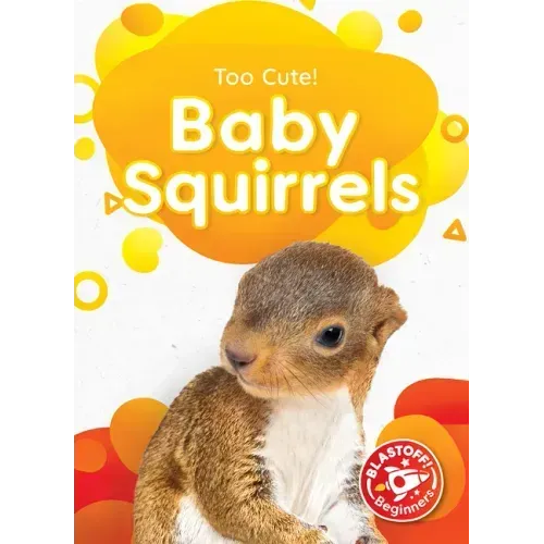 Baby Squirrels