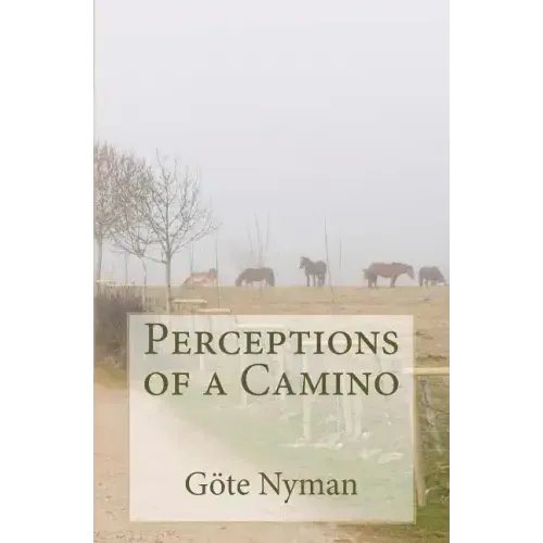 Perceptions of a Camino