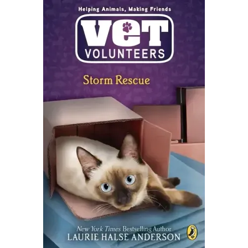 Storm Rescue