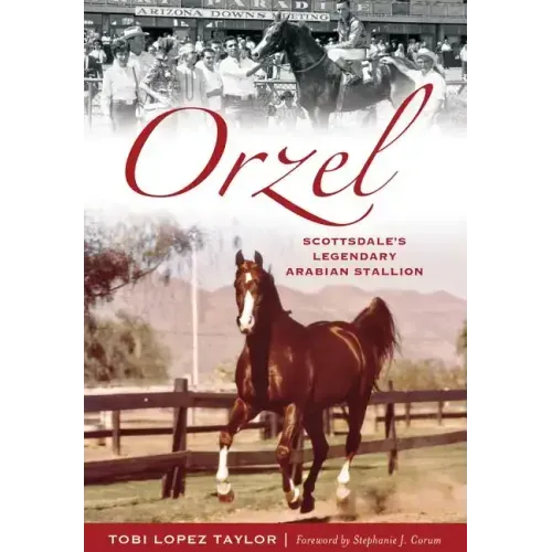 Orzel:: Scottsdale's Legendary Arabian Stallion