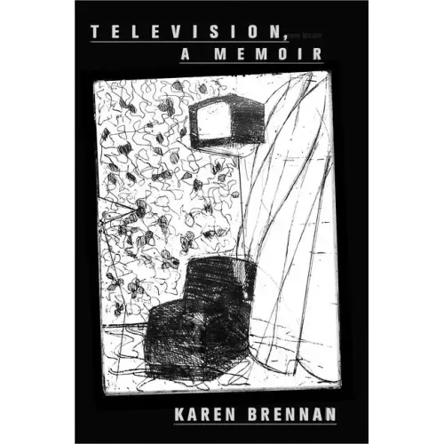 Television, a Memoir