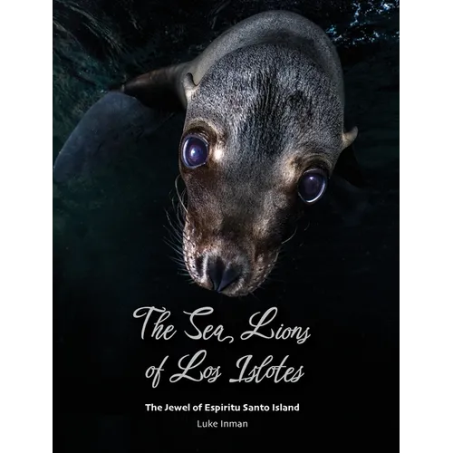 The Sea Lions of Los Islotes: The Jewel of Espíritu Santo Island