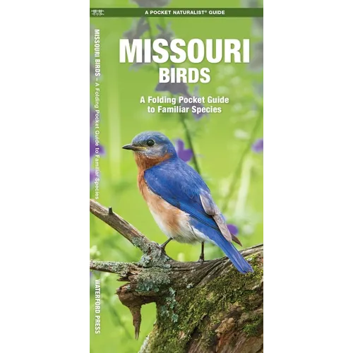 Missouri Birds: A Folding Pocket Guide to Familiar Species