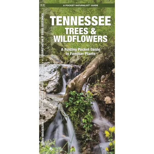 Tennessee Trees & Wildflowers: A Folding Pocket Guide to Familiar Plants