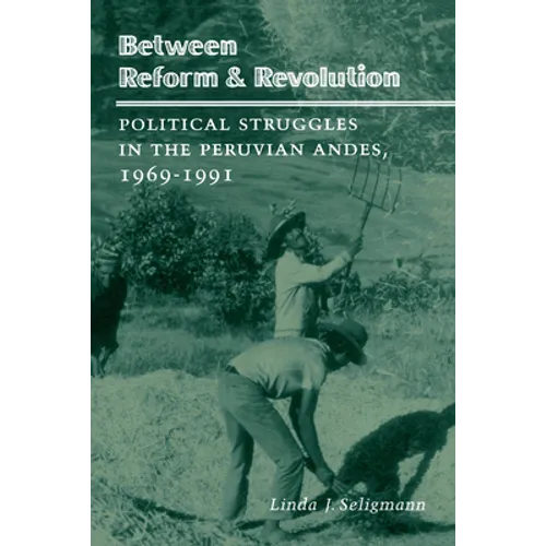 Between Reform and Revolution: Political Struggles in the Peruvian Andes, 1969-1991