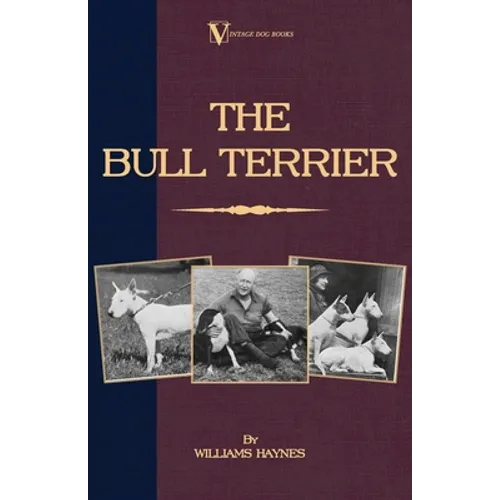 The Bull Terrier