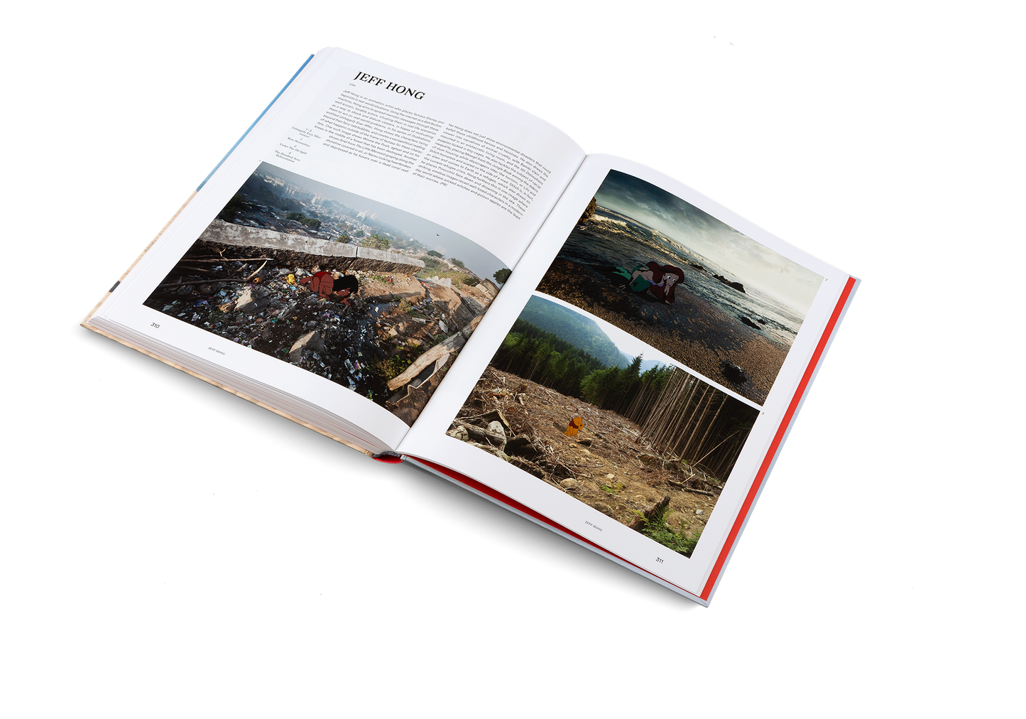 The Art of Protest Book