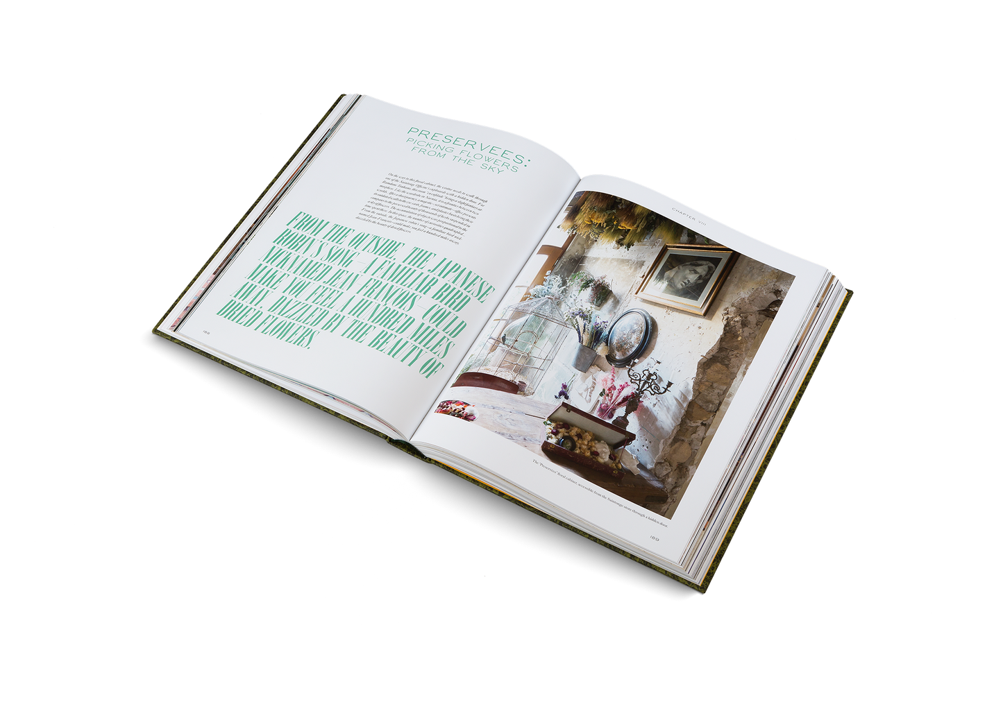 The Beauty of Time Travel Book