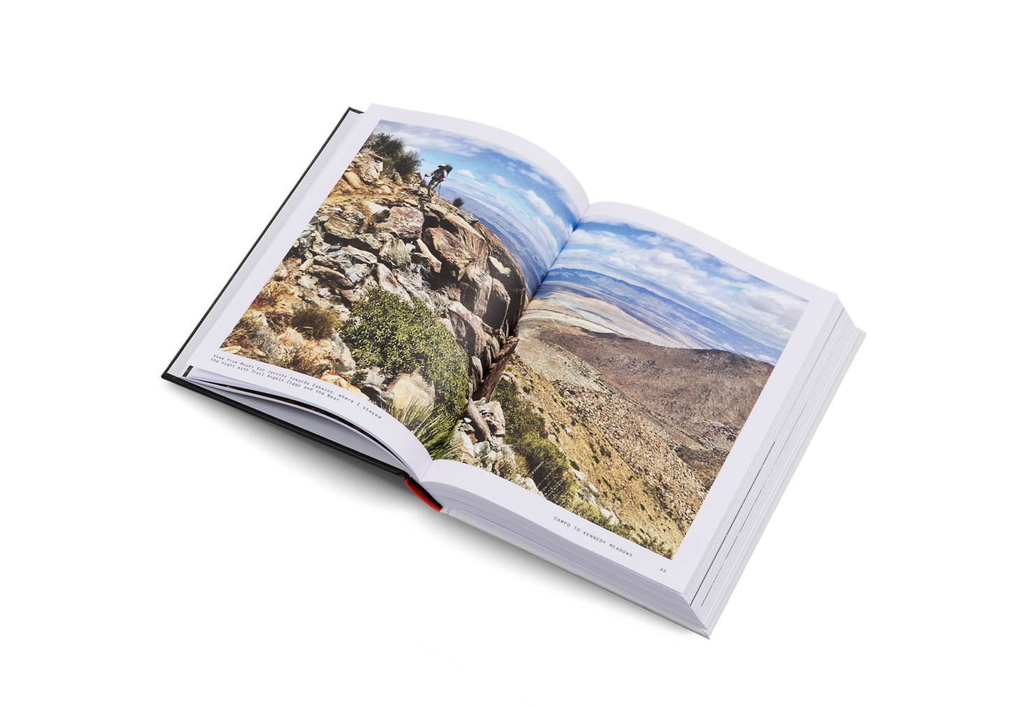 The Great Alone Book