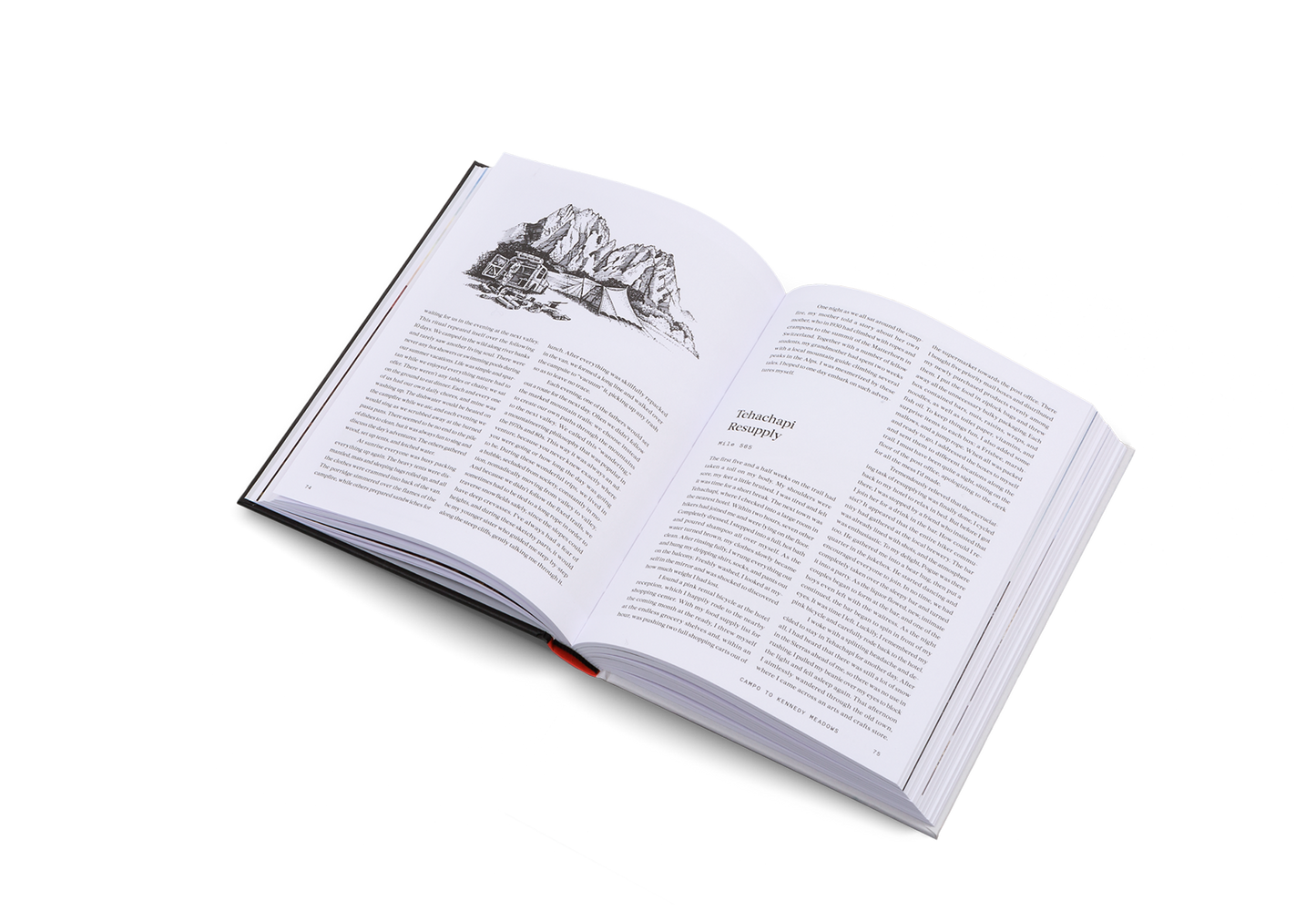 The Great Alone Book