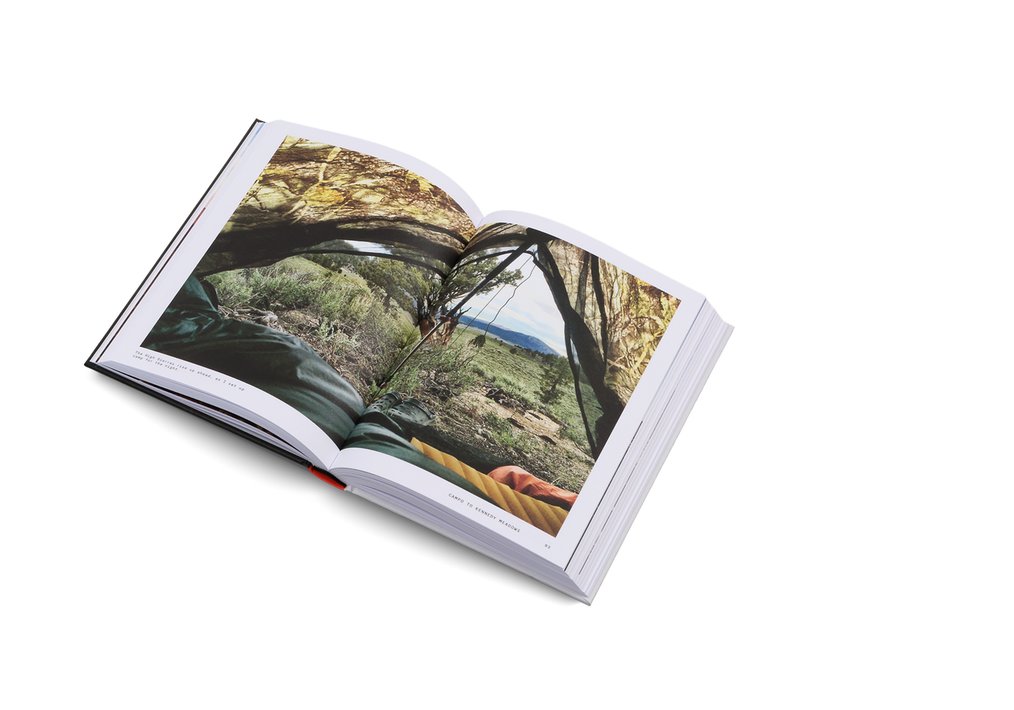 The Great Alone Book
