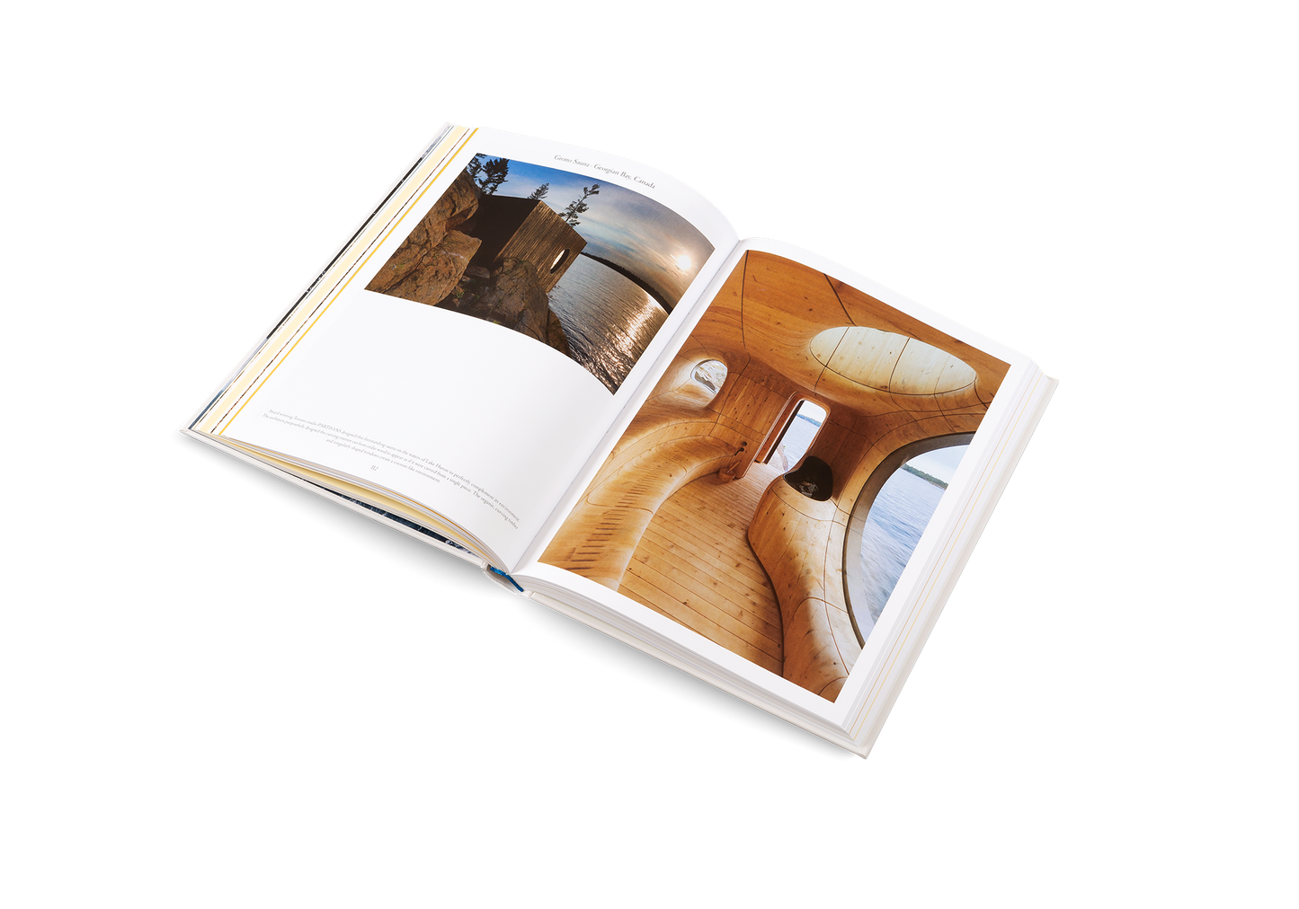 The Nature of Swimming Book