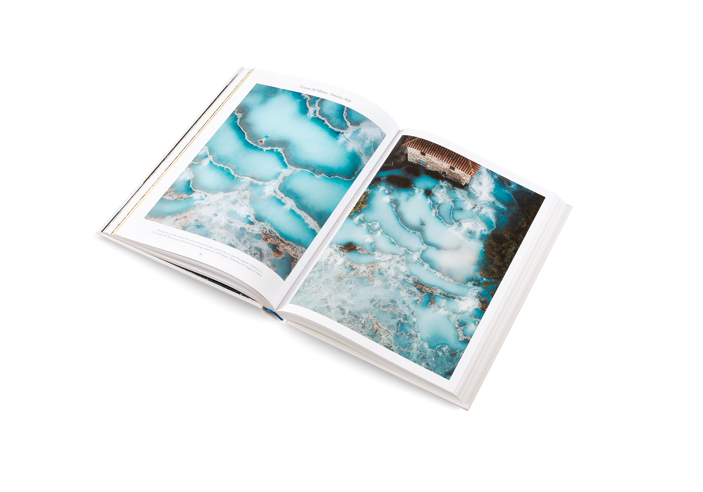The Nature of Swimming Book