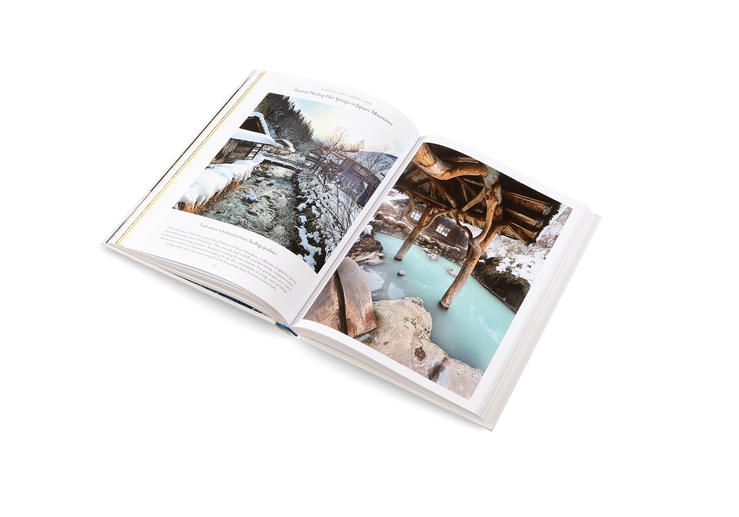 The Nature of Swimming Book