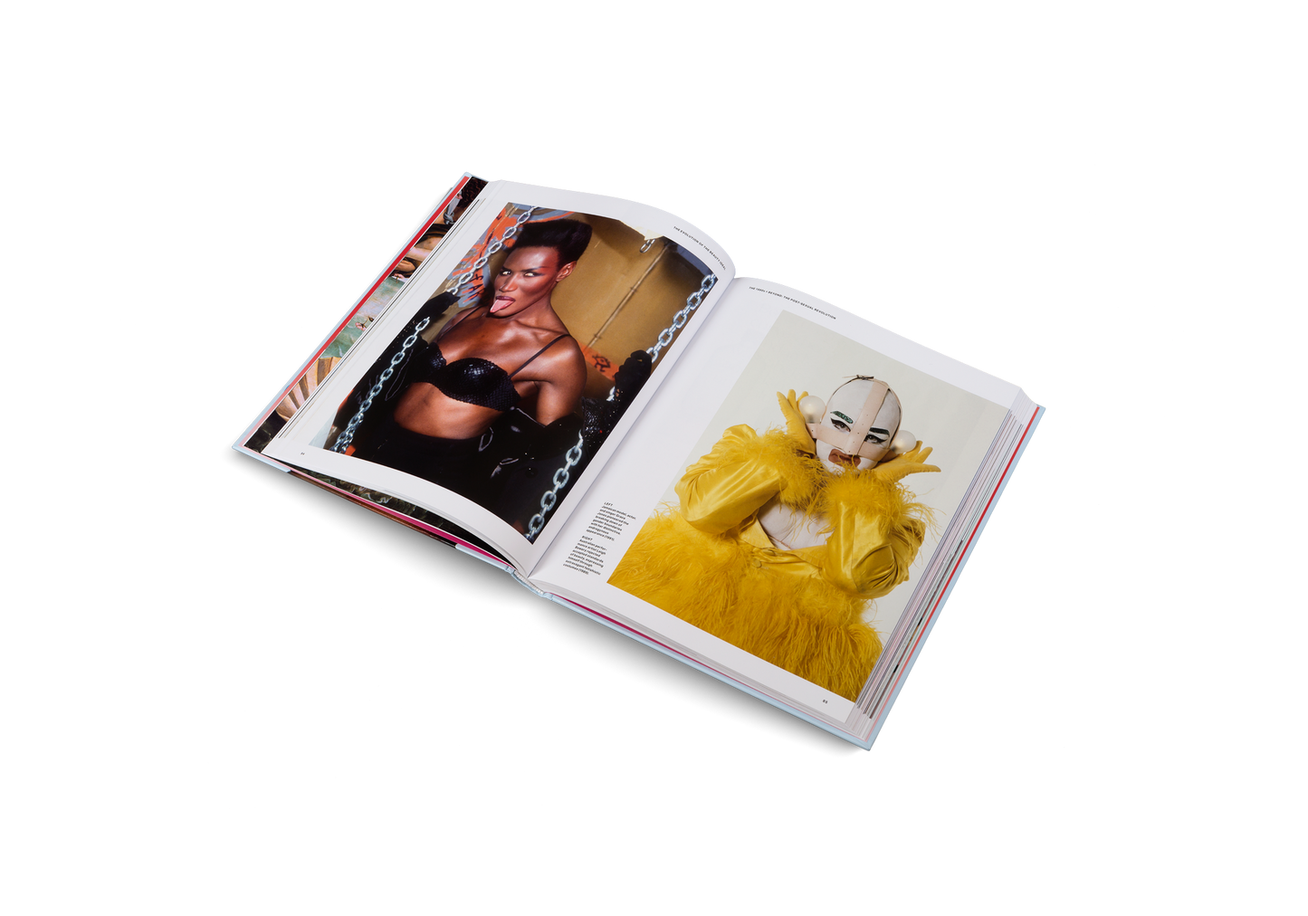 The New Beauty Book