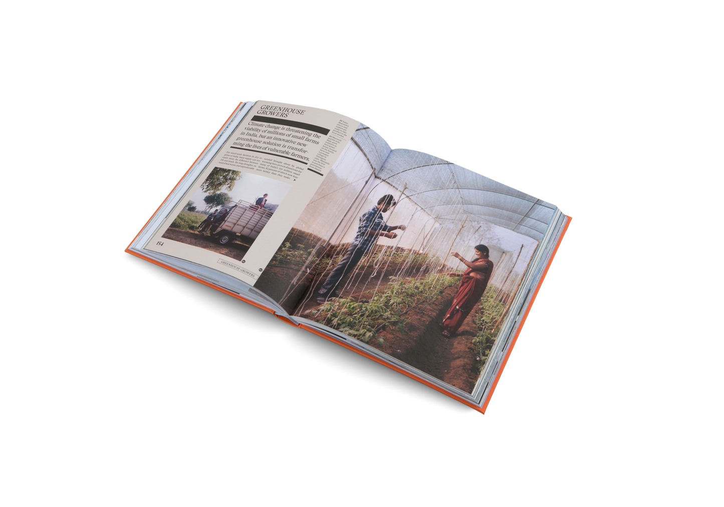 The New Traditional Book