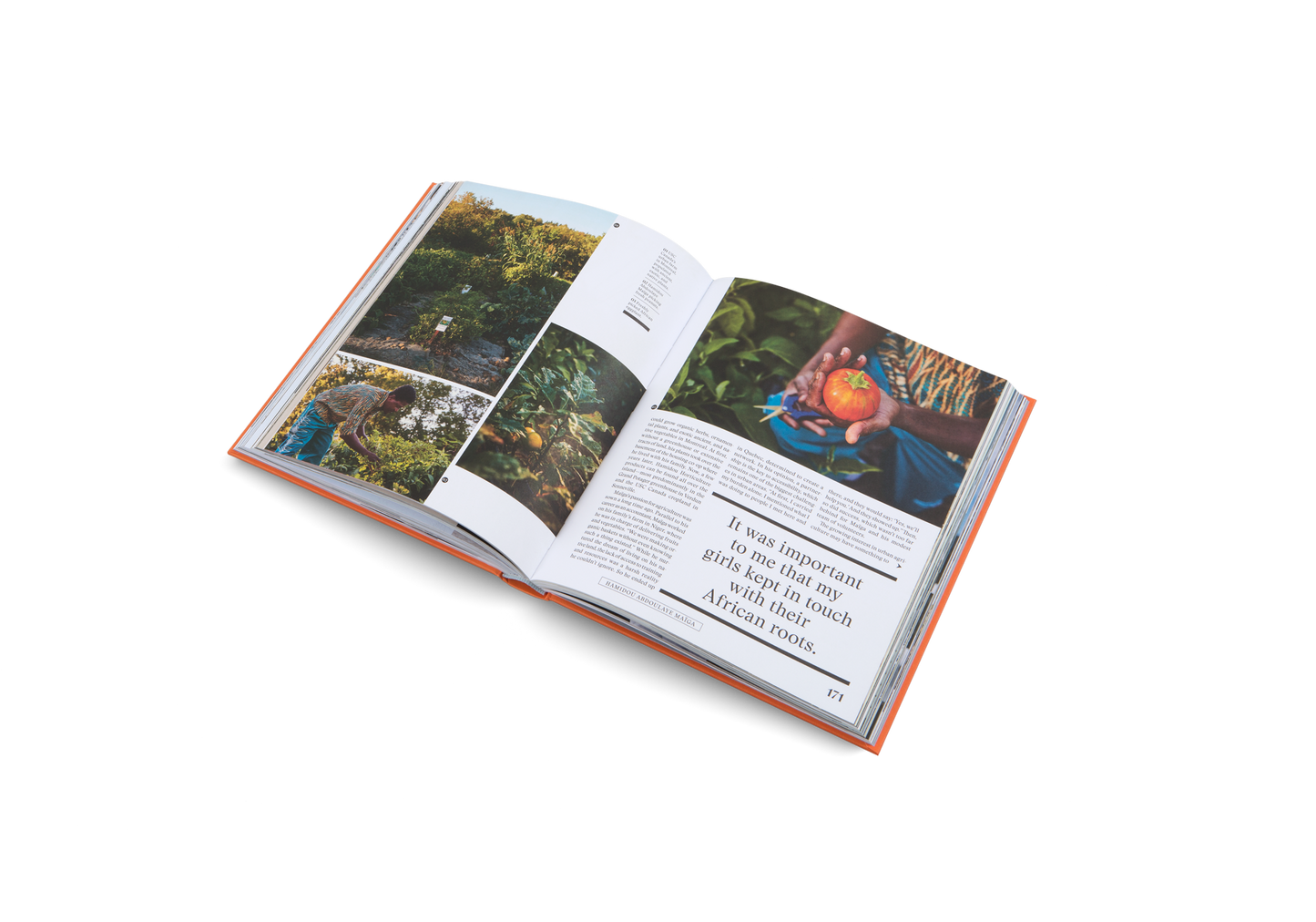 The New Traditional Book