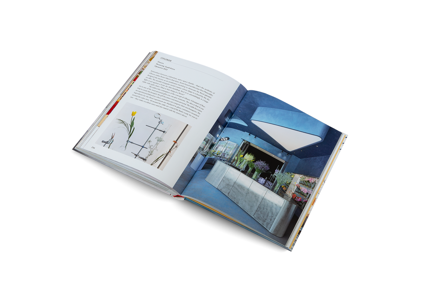 Think Big—Shop Small Book