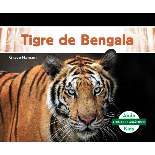 Tigre de Bengala (Bengal Tiger)