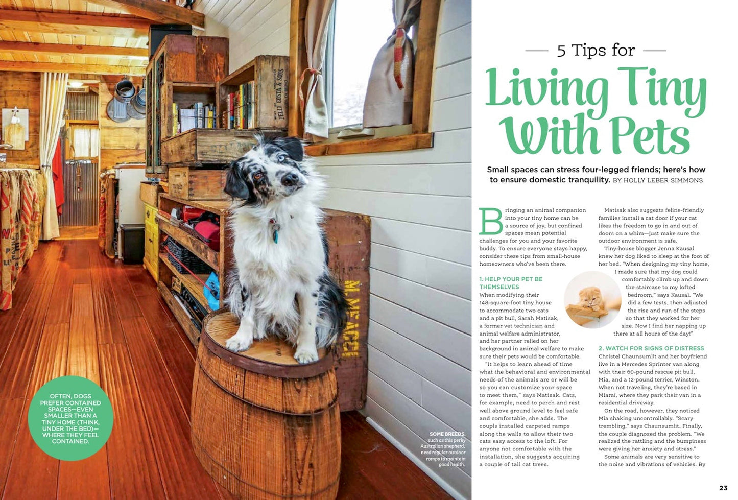 Tiny Homes - Living Large In Small Houses! Downsize With Style, How To Save, Organizing Tips With The Best Pre-Built Designs, Family-Friendly Solutions & Essential Building Checklist!