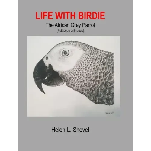 Life with Birdie, The African Grey Parrot