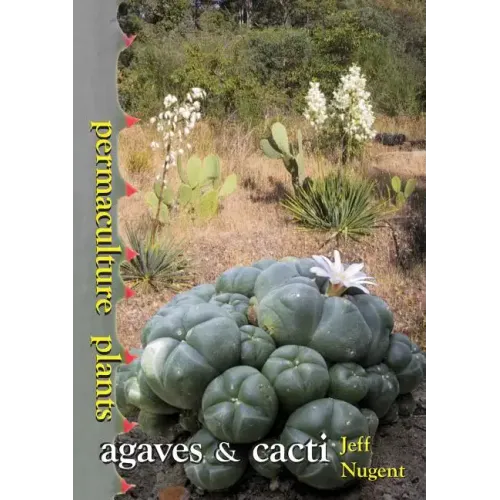 Permaculture Plants: agaves and cacti
