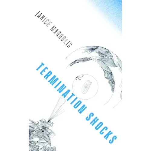 Termination Shocks