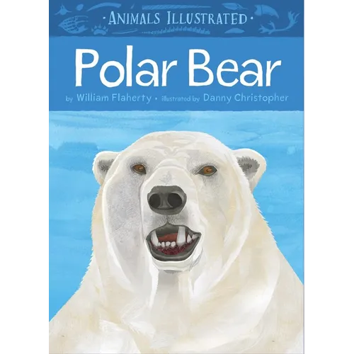 Animals Illustrated: Polar Bear