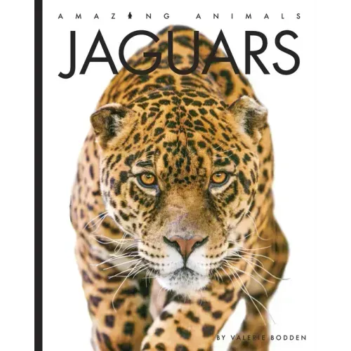 Jaguars