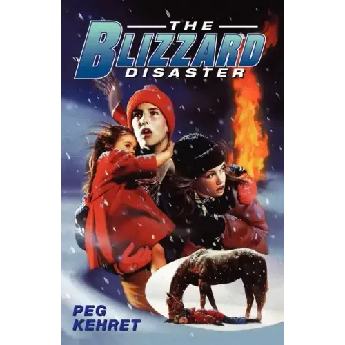 The Blizzard Disaster