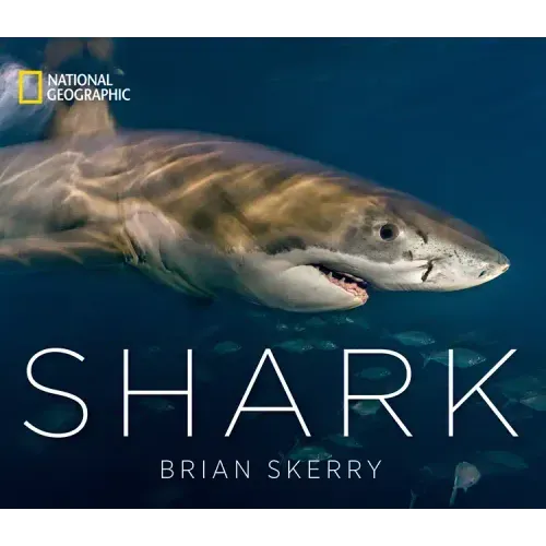 Shark