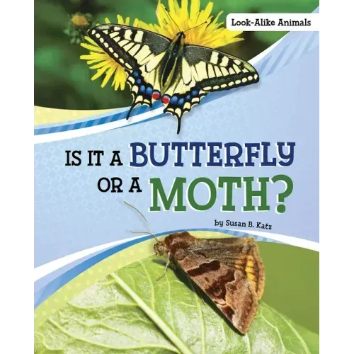 Is It a Butterfly or a Moth?