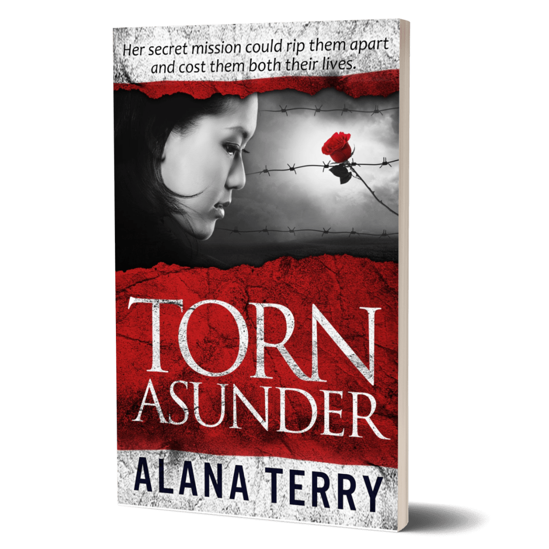 Torn Asunder Book