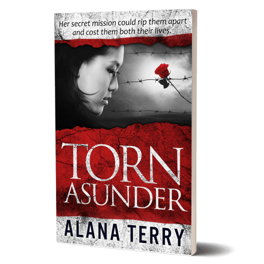 Torn Asunder Book