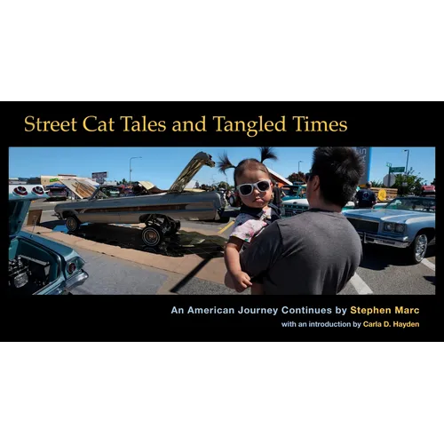 Street Cat Tales and Tangled Times: An American Journey Continues