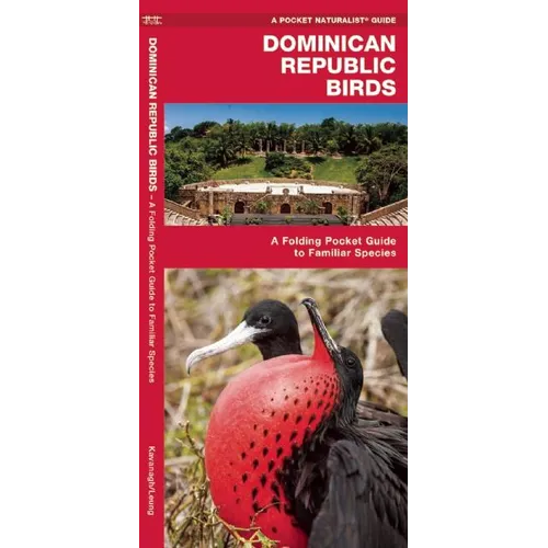 Dominican Republic Birds: A Folding Pocket Guide to Familiar Species