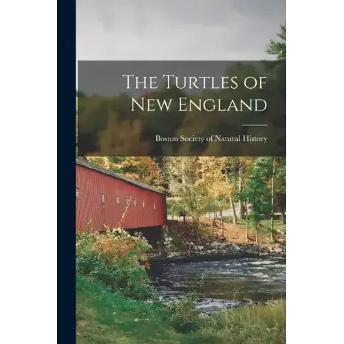 The Turtles of New England