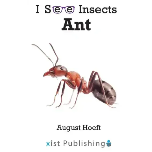 Ant