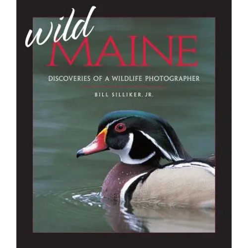 Wild Maine: Discoveries of a Wildlife Photographer