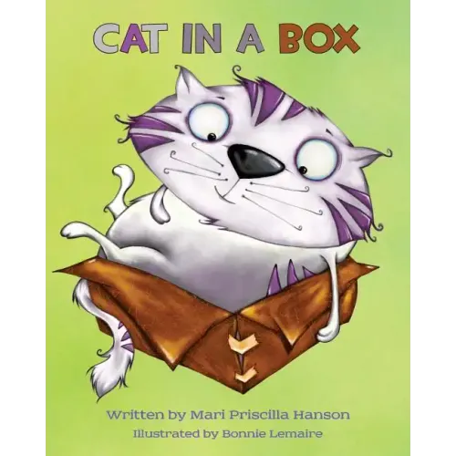 Cat in a Box