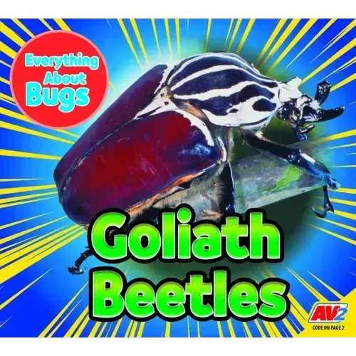 Goliath Beetles