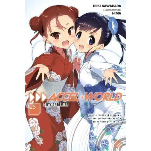 Accel World, Vol. 25 (Light Novel): Deity of Demise